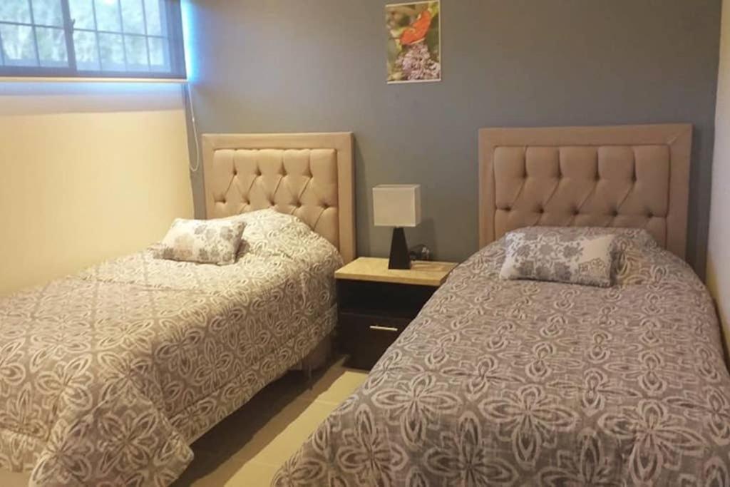 Amplio Y Confortable Apartamento En プレヤデルカーメン エクステリア 写真